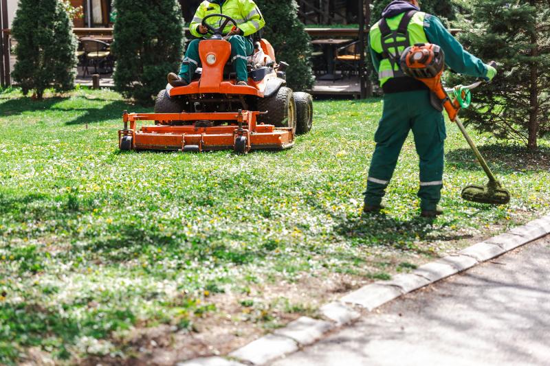 Comment choisir un paysagiste professionnel pour transformer votre jardin ?