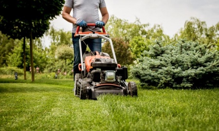 Entretien des espaces verts, quelles solutions pour un jardin impeccable