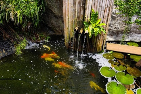 Construction d'un bassin &agrave; Jouy-le-Moutier : embellissez votre jardin