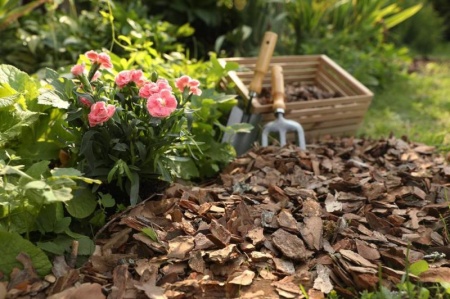 D&eacute;sherbage du jardin &agrave; Jouy-le-Moutier, quelles m&eacute;thodes privil&eacute;gier ?